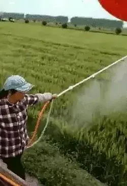 Water spray irrigation by ballons