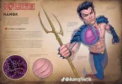 Namor anatomy