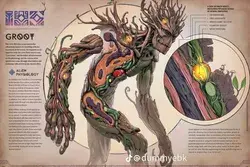 Groot anatomy