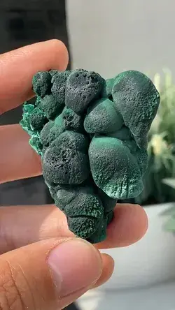 Velvet Malachite Specimen , Raw Velvety Malachite Specimens , Small Velvet，$20.00