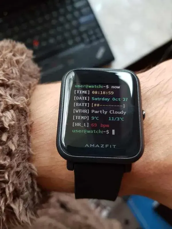 Apple Watch Overridden