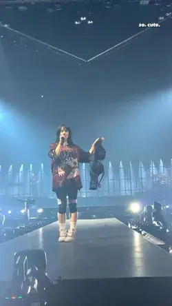 billie interacting with fans during her show in buffalo, ny