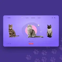 Pets Adoption App Design- Get A Quote