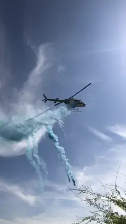 Helicopter Gender reveal 