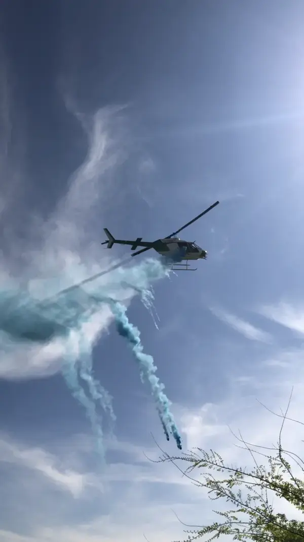 Helicopter Gender reveal 