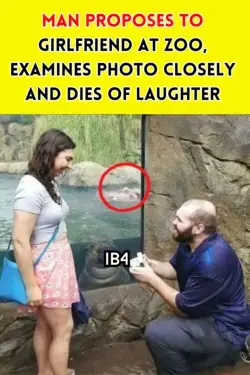 Man Proposes To Girlfriend At Zoo, Examines Photo Closely And Dies Of Laughter