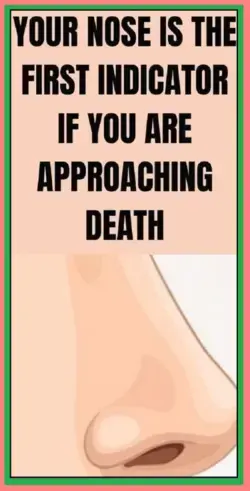 Your Nose is the First Indicator if You are Approaching Death