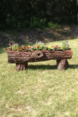 Beautiful wooden log decor design idea