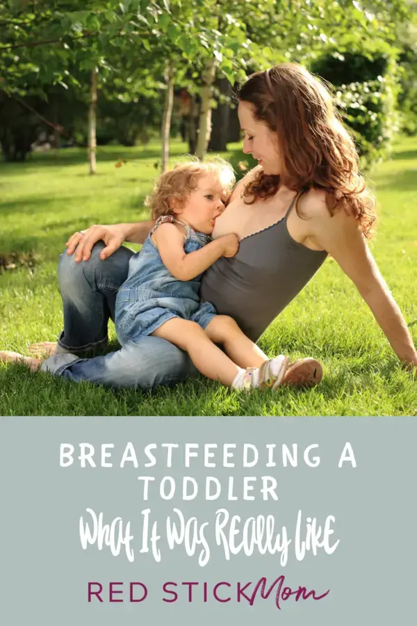 Breastfeeding a Toddler :: The Reason I Did It and What It Was Really Like