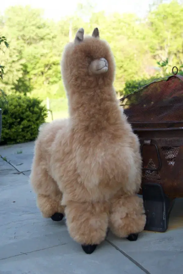 alpacas cute animal character cute animal pics funny animal portraits pets animals pet easter basket