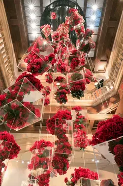 Rose Chandelier Installation