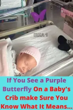 If You See a Purple Butterfly On a Baby's Crib make Sure You Know What It Means...