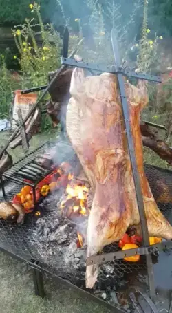 Asado lamb cooking over real fire