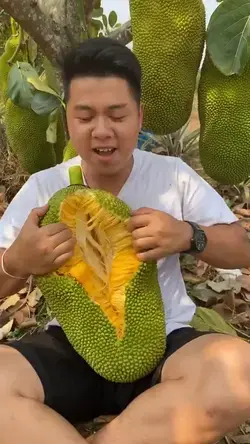 Jackfruit ขนุน ดูเพลินๆ #1