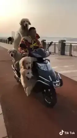 Dad, where are we going