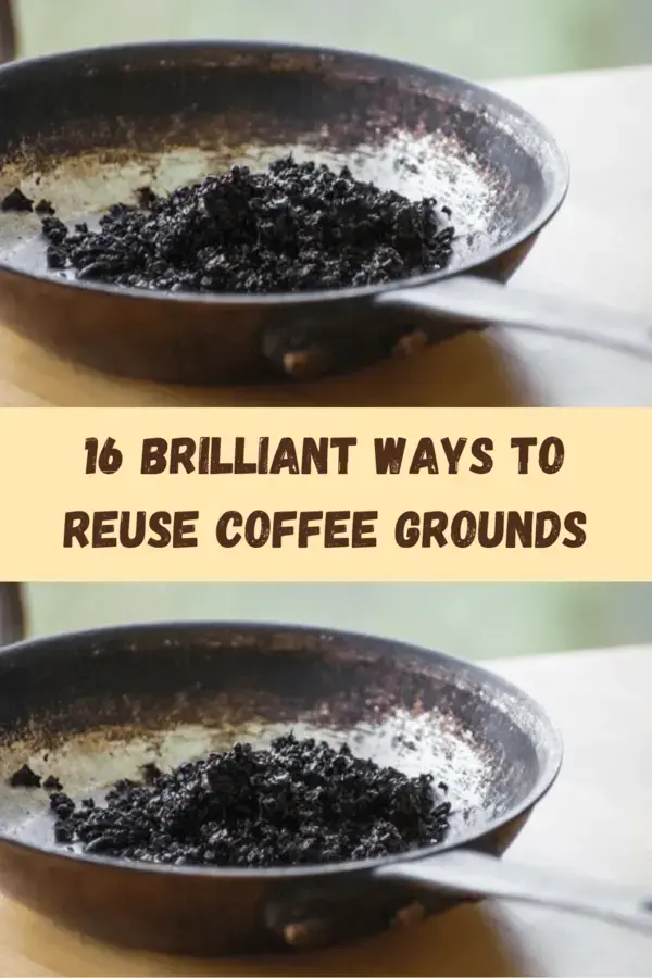 16 Brilliant Ways To Reuse Coffee Grounds