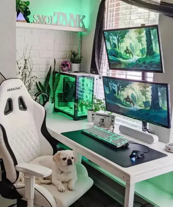 Clean Gaming PC + dog