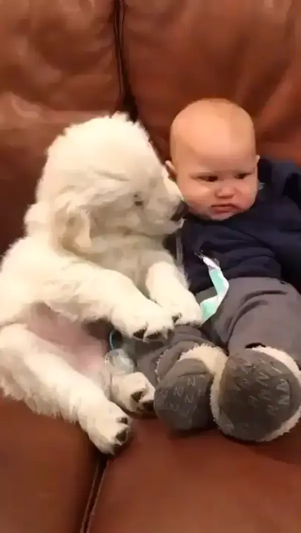 Two month old puppy kisses six month old baby. So sweet!