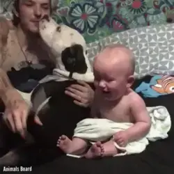 Babies & Pets