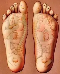 Foot Reflexology Massage Benefits