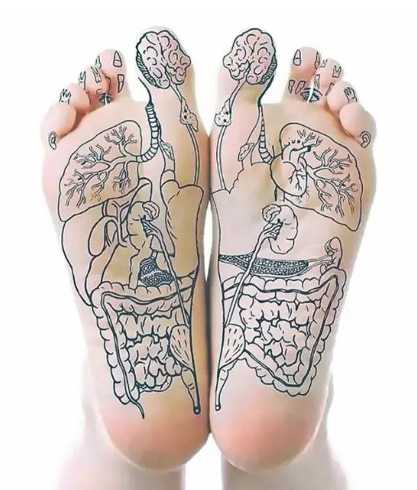 What is Reflexology