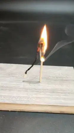 Floating Match | Science Experiment for Kids