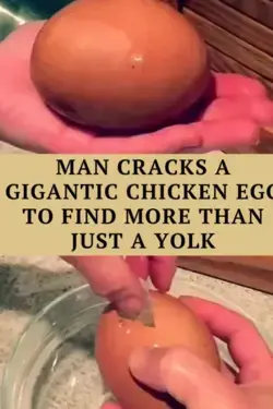 Man Cracks A Gigantic Chicken Egg To Find More Than Just A Yolk