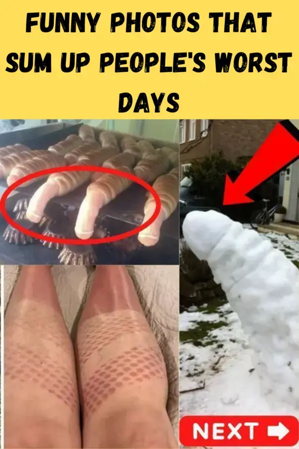 Funny Photos That Sum Up People's Worst Days