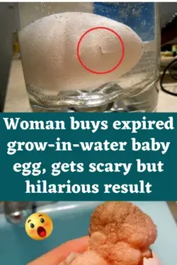 Woman buys expired grow-in-water baby egg, gets scary but hilarious result