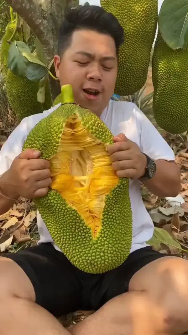 Jackfruit ขนุน ดูเพลินๆ #1