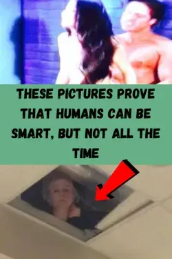 These Pictures Prove That Humans Can Be Smart, But Not All The Time