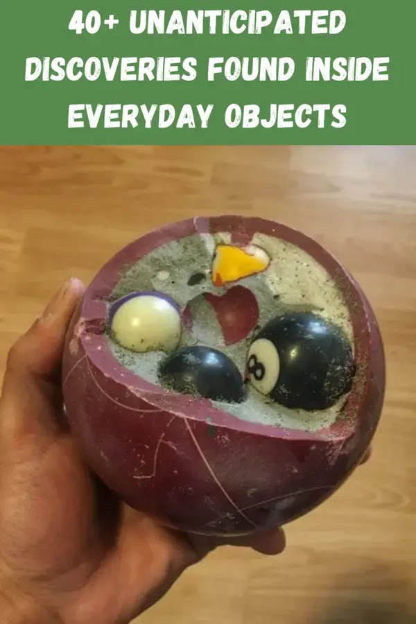 40+ Unanticipated Discoveries Found Inside Everyday Objects