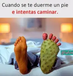 memes divertidos en español