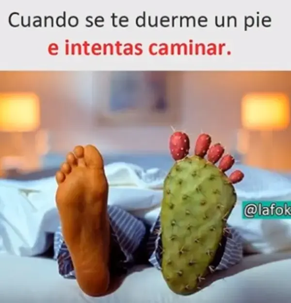 memes divertidos en español