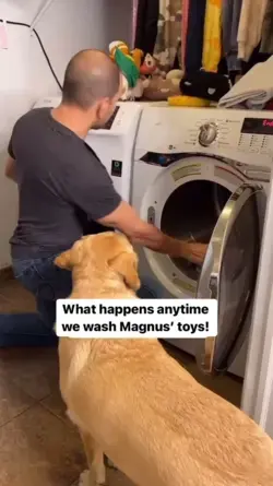 Time to wash your pup's toys.