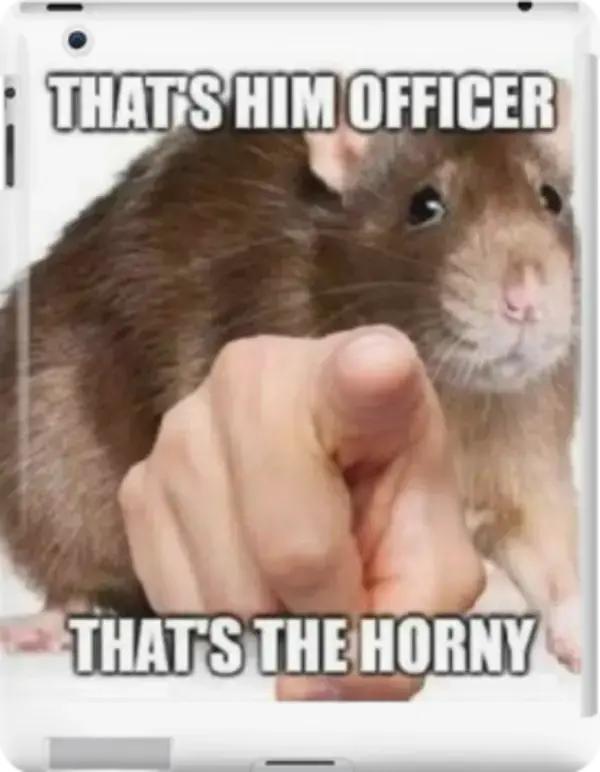 That&#039;s Him Officer Thats&#039;s The Horny - Rat Meme iPad Snap Case by Kiriare