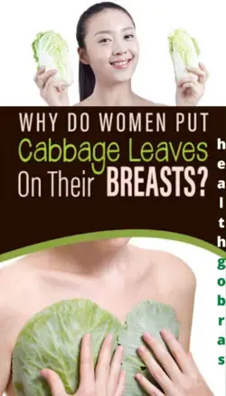 Women are putting Cabbage leaves on their breast, reason behind it will make you happy…