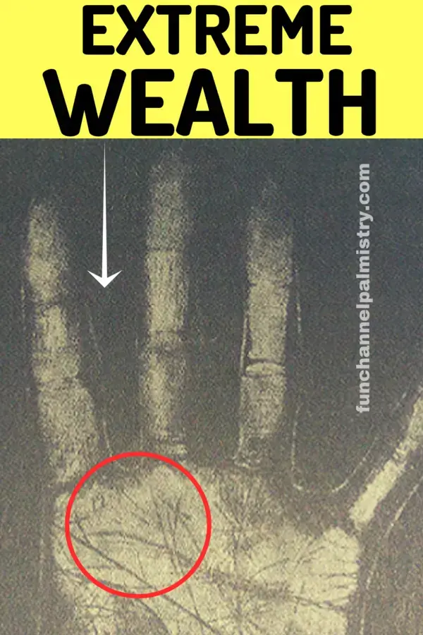 Extreme Wealth Signs In Your Hands-Palmistry