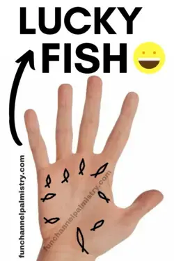 Very Lucky And Rare Fish Sign Formed On Different Mounts In Palmistry