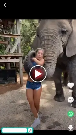 #youtu.be #ElEfAnTe #zOoLoGiCo