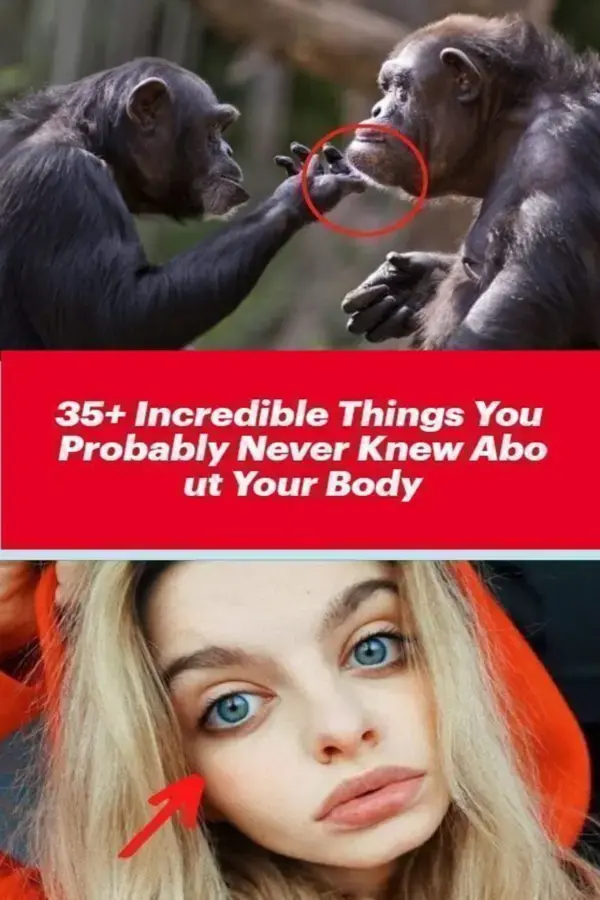 Incredible Things Most People Probably Never Knew About the Human Body