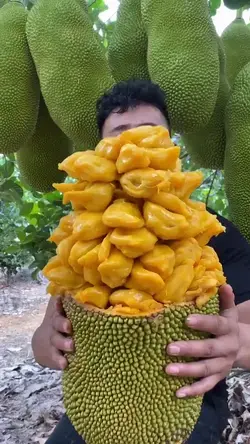 Jackfruit ขนุน ดูเพลินๆ #1