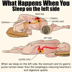 Correct Sleeping Position