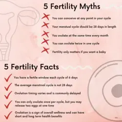 Fertility Myths vs Fertility Facts