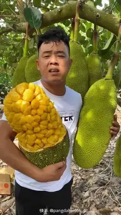 Jackfruit ขนุน ดูเพลินๆ #1