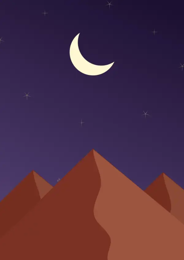 Desert night