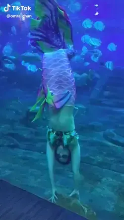 Mermaid Beautiful | Under the Sea | Mermaid Facts