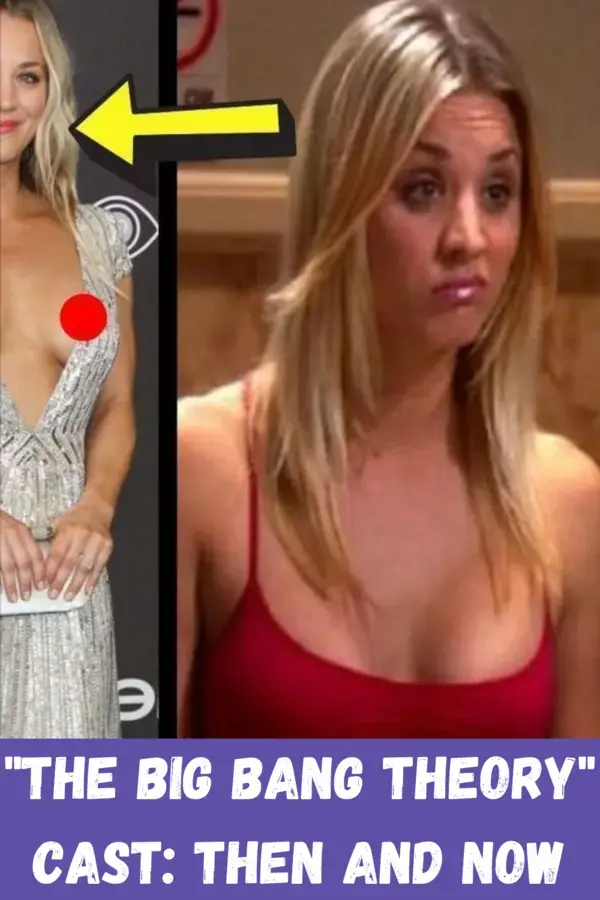 "The Big Bang Theory" Cast: Then and Now