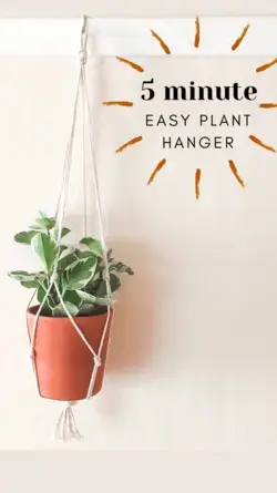 Easy Macrame Plant Hanger