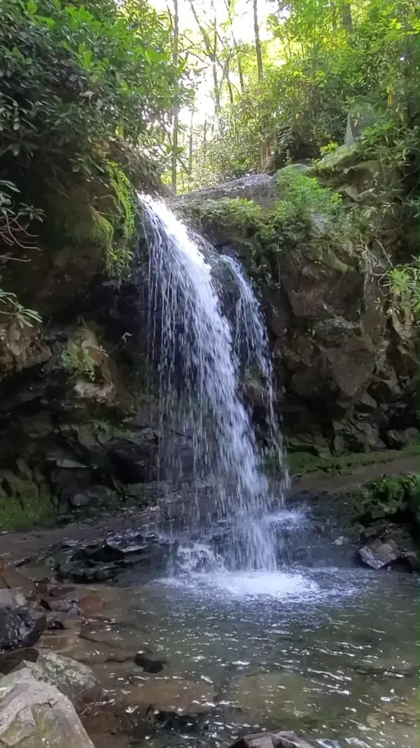 Waterfalls to see in Great Smoky Mountains National Park